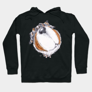 Australian Shepherd Dog Hoodie